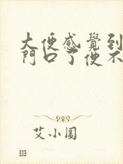 大便感觉到了肛门口了便不下来咋回事