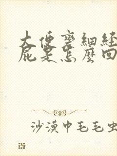 大便变细经常放屁是怎么回事