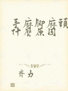 手麻脚麻头晕是什么原因