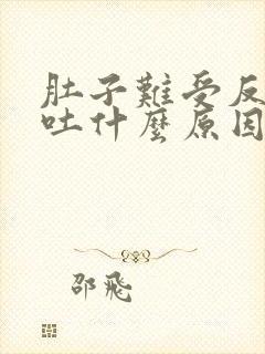 肚子难受反胃想吐什么原因