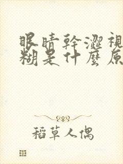 眼睛干涩视力模糊是什么原因造成的怎么办