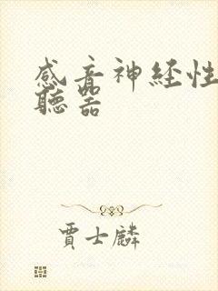 感音神经性聋助听器