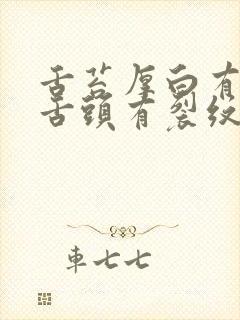 舌苔厚白有齿痕舌头有裂纹