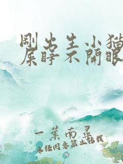 刚出生小猫有眼屎睁不开眼睛怎么办