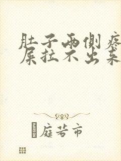 肚子两侧疼想拉屎拉不出来怎么回事