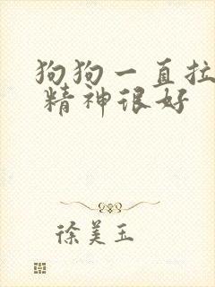 狗狗一直拉软便 精神很好