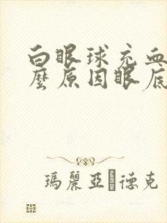 白眼球充血是什么原因眼底出血怎么办