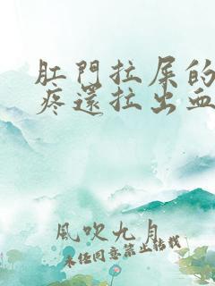 肛门拉屎的时候疼还拉出血来了