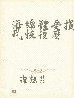 海绵体受损能自我恢复么