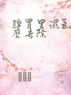 脾胃里湿气重怎么去除