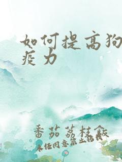 如何提高狗狗免疫力