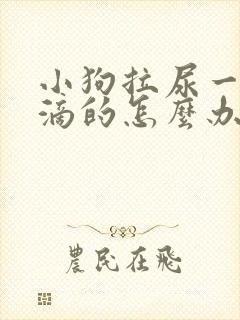 小狗拉尿一滴一滴的怎么办