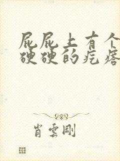 屁屁上有个红色硬硬的疙瘩