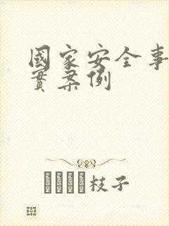 国家安全事例真实案例