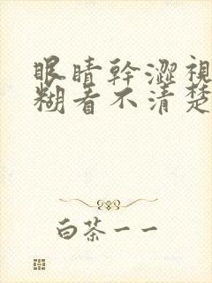 眼睛干涩视力模糊看不清楚东西