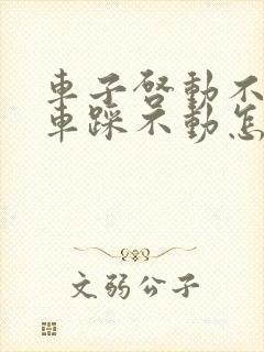 车子启动不了刹车踩不动怎么回事