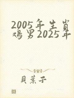 2005年生肖鸡男2025年运程