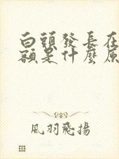 白头发长在右前额是什么原因