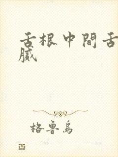 舌根中间舌苔黄腻