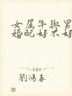 女属牛与男属羊婚配好不好