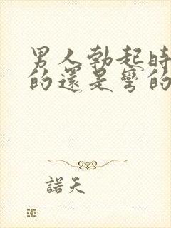 男人勃起时是直的还是弯的