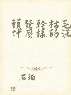 头发干枯毛躁用什么样的洗发水好