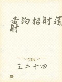 黄狗招财还是破财