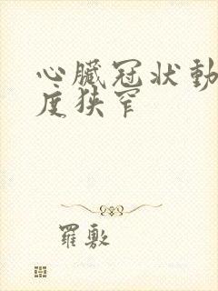 心脏冠状动脉轻度狭窄