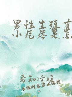 男性生殖有好多小疙瘩是怎么回事