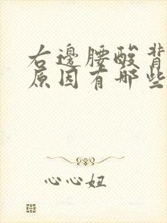 右边腰酸背痛的原因有哪些症状女性