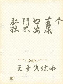 肛门口有个肉球拉不出屎