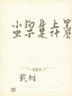 小狗身上黑色的虫子是什么