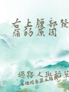 右上腹部发胀隐痛的原因