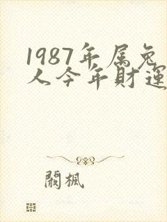 1987年属兔人今年财运好不好