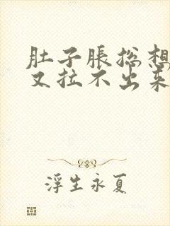 肚子胀总想大便又拉不出来吃什么药