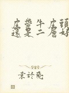 皮带牛皮头层好还是二层好