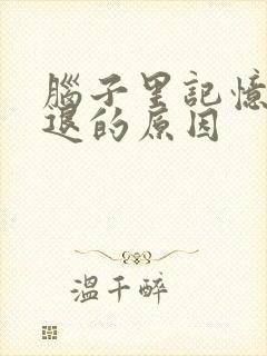 脑子里记忆力减退的原因