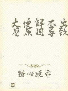 大便解不出是什么原因导致的