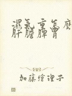 湿气重怎么调理肝胆脾胃