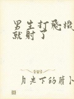 男生打飞机几秒就射了