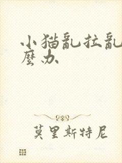 小猫乱拉乱尿怎么办