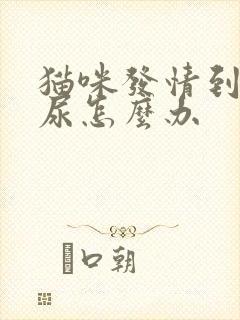 猫咪发情到处乱尿怎么办