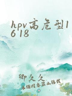 hpv高危型16 18