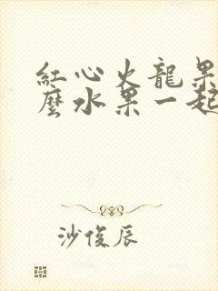 红心火龙果和什么水果一起榨汁好喝