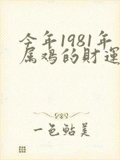 今年1981年属鸡的财运和运气如何