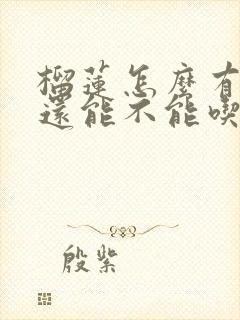 榴莲怎么有点苦还能不能吃