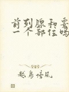 前列腺和睾丸是一个部位吗