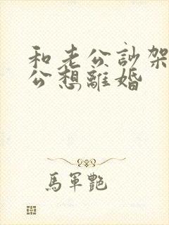 和老公吵架了老公想离婚