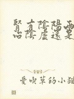 肾有阴阳两虚先治阴虚还是阳虚