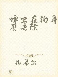 蜱虫在狗身上怎么去除